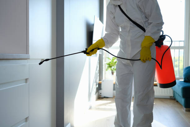 Best Commercial Mold Remediation in East End, AR